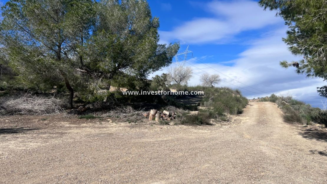 Reventa - Chalet - Torremendo - Costa Blanca