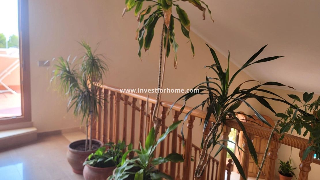 Reventa - Chalet - Torrevieja - aguas nuevas