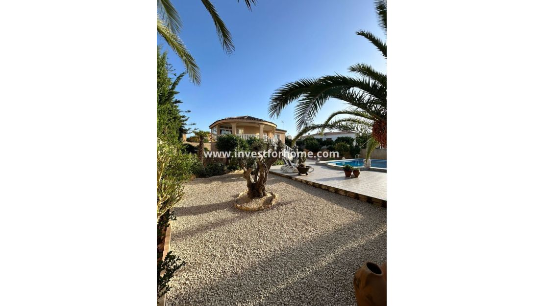 Reventa - Chalet - Torrevieja - aguas nuevas