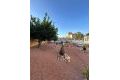 Reventa - Chalet - Torrevieja - aguas nuevas