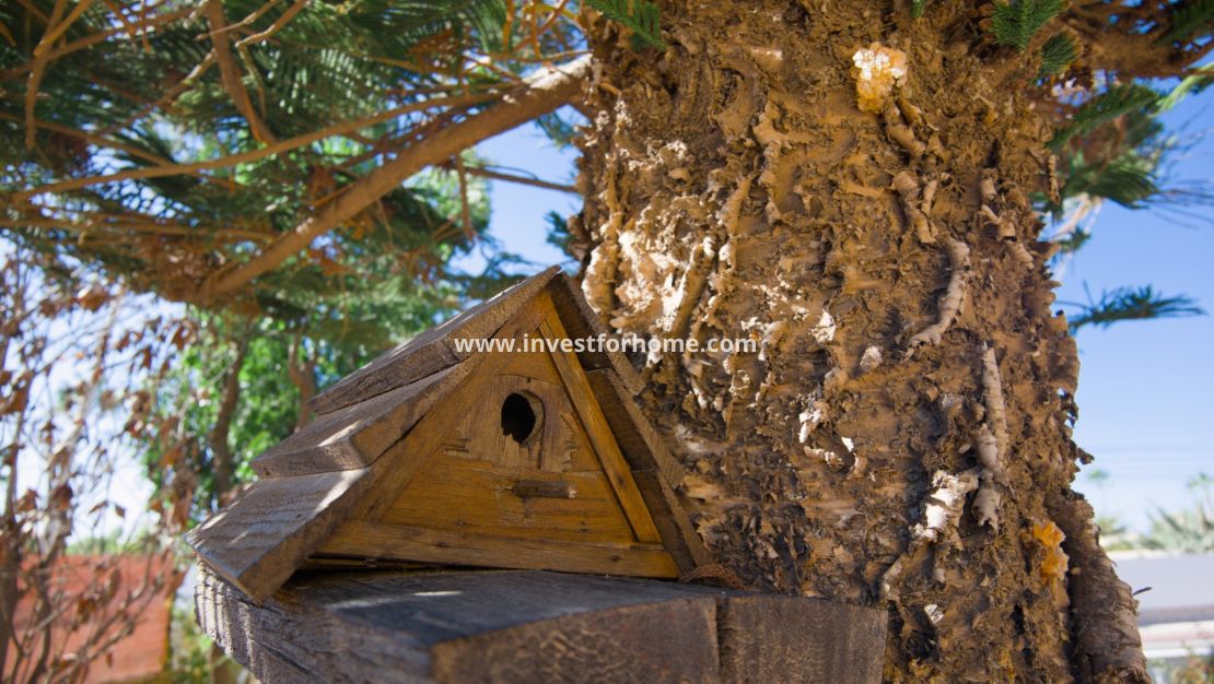 Reventa - Chalet - Torrevieja - Costa Blanca