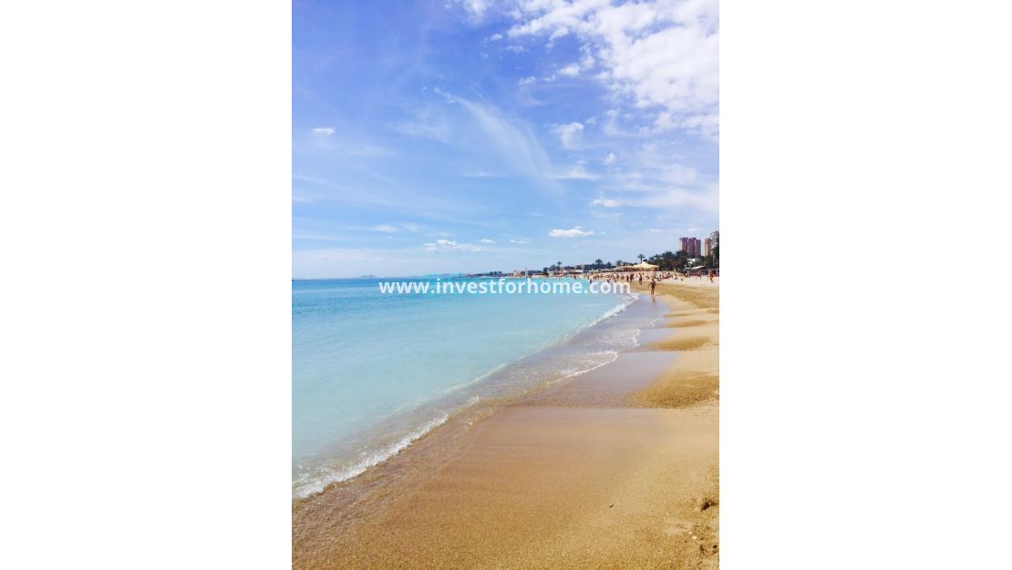 Reventa - Chalet - Torrevieja - Costa Blanca