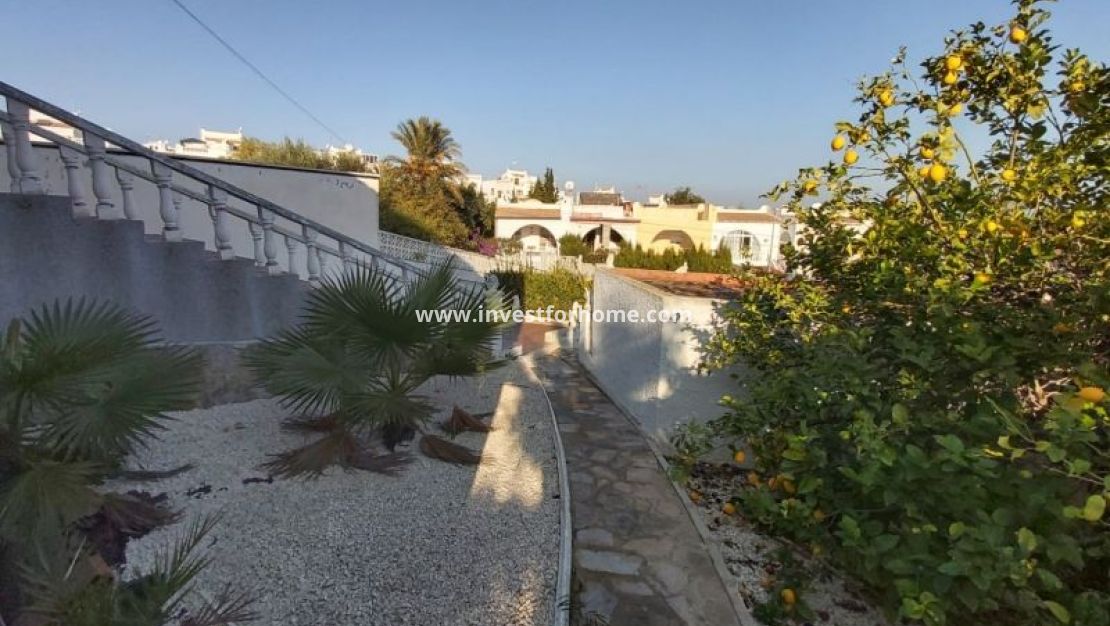 Reventa - Chalet - Torrevieja - Costa Blanca