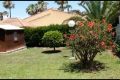 Reventa - Chalet - Torrevieja - Costa Blanca