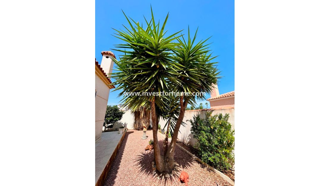 Reventa - Chalet - Torrevieja - Costa Blanca