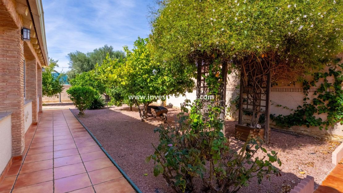 Reventa - Chalet - Torrevieja - El Chaparral