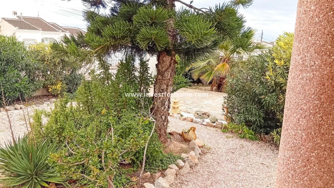 Reventa - Chalet - Torrevieja - La Siesta - El Salado - Torreta