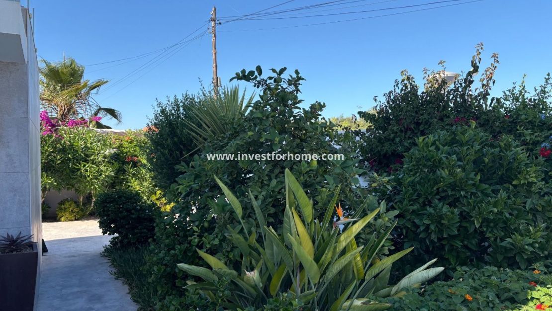 Reventa - Chalet - Torrevieja - La Siesta