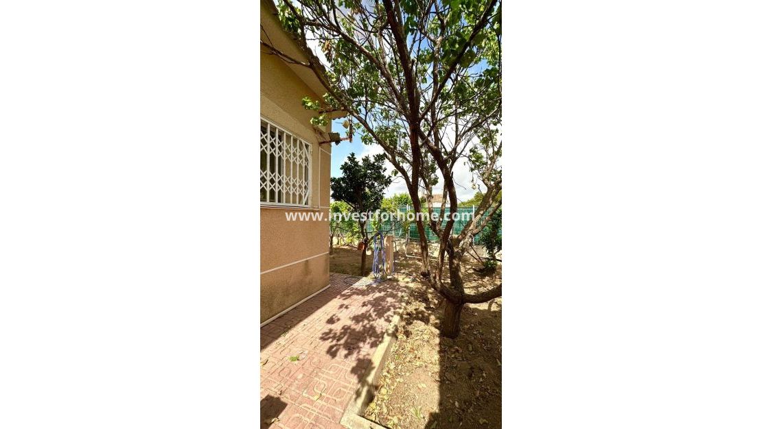 Reventa - Chalet - Torrevieja - Los Balcones - Los Altos Del Edén