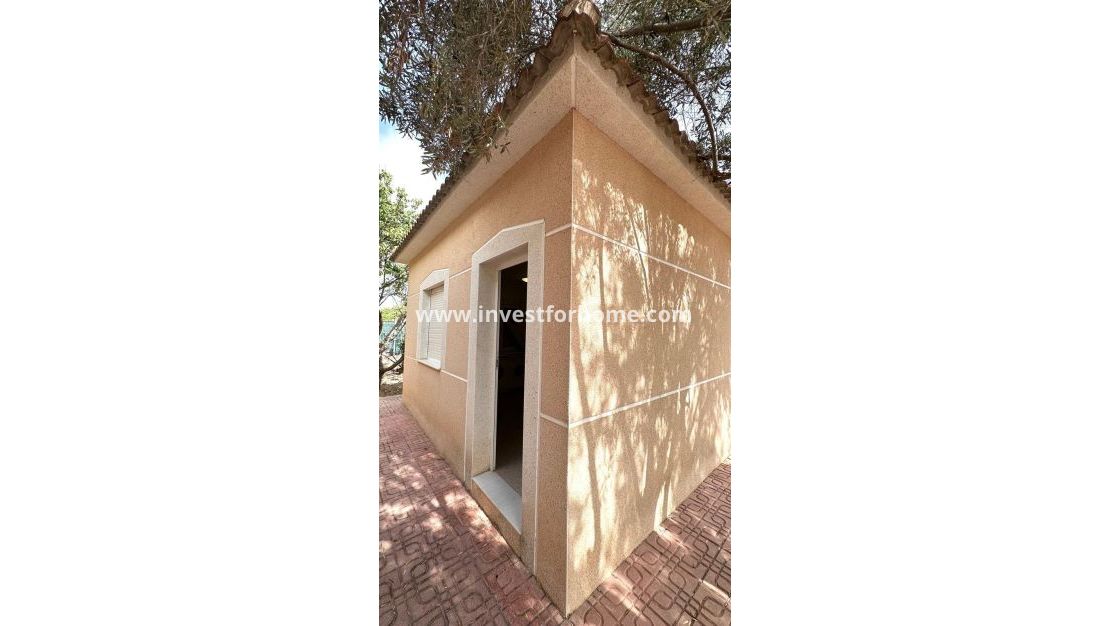 Reventa - Chalet - Torrevieja - Los Balcones - Los Altos Del Edén