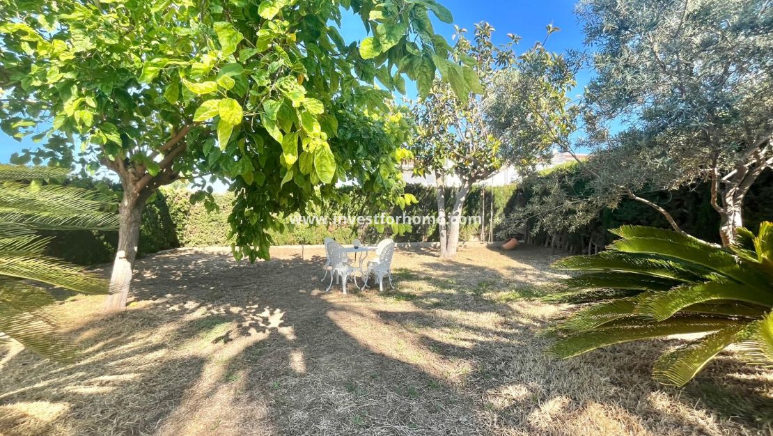 Reventa - Chalet - Torrevieja - Los Balcones - Los Altos Del Edén