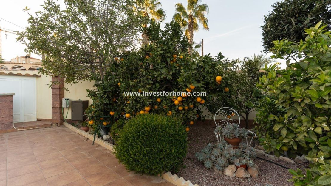 Reventa - Chalet - Torrevieja - Los Balcones - Los Altos Del Edén