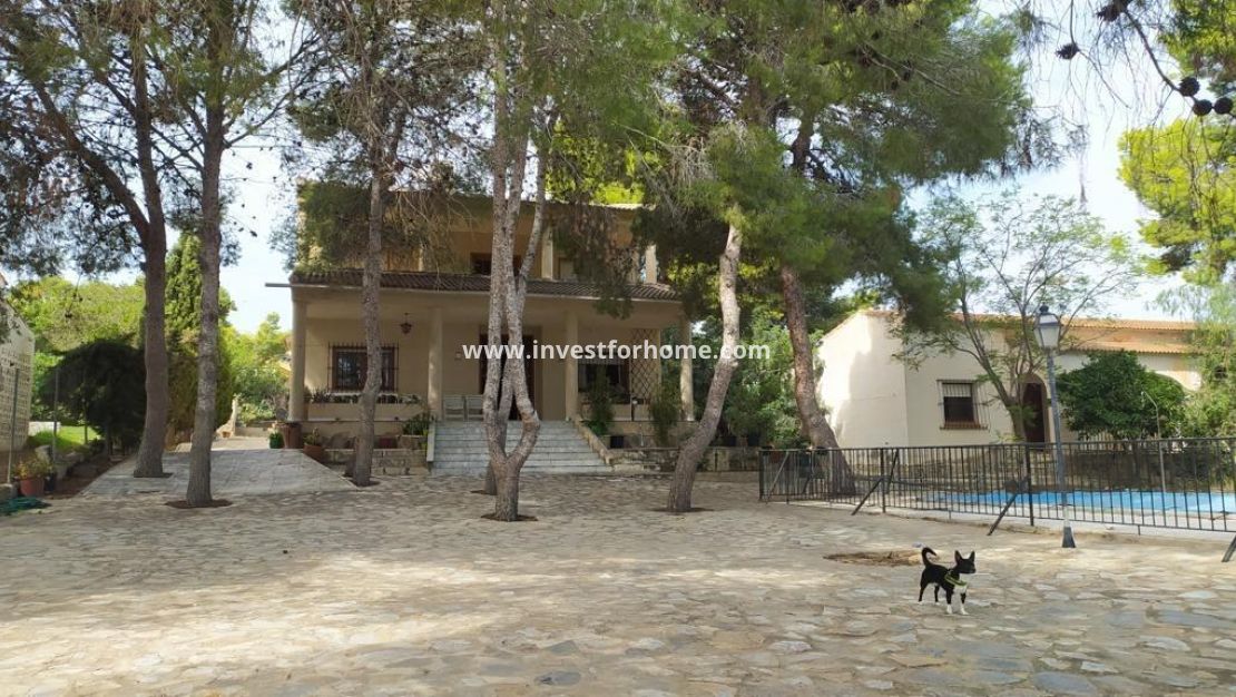 Reventa - Chalet - Torrevieja - Los Balcones