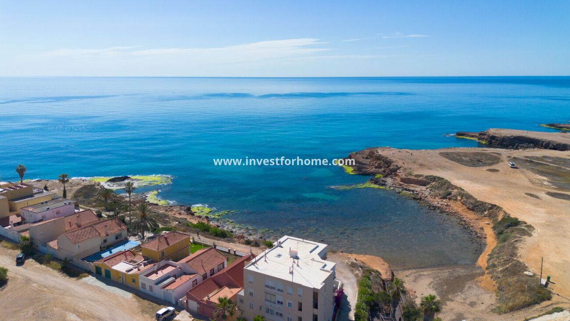 Reventa - Chalet - Torrevieja - Rosaleda