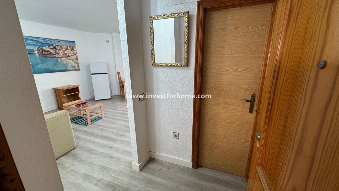 Reventa - Estudio - Torrevieja - Playa de Los Locos-Curva del Palangre