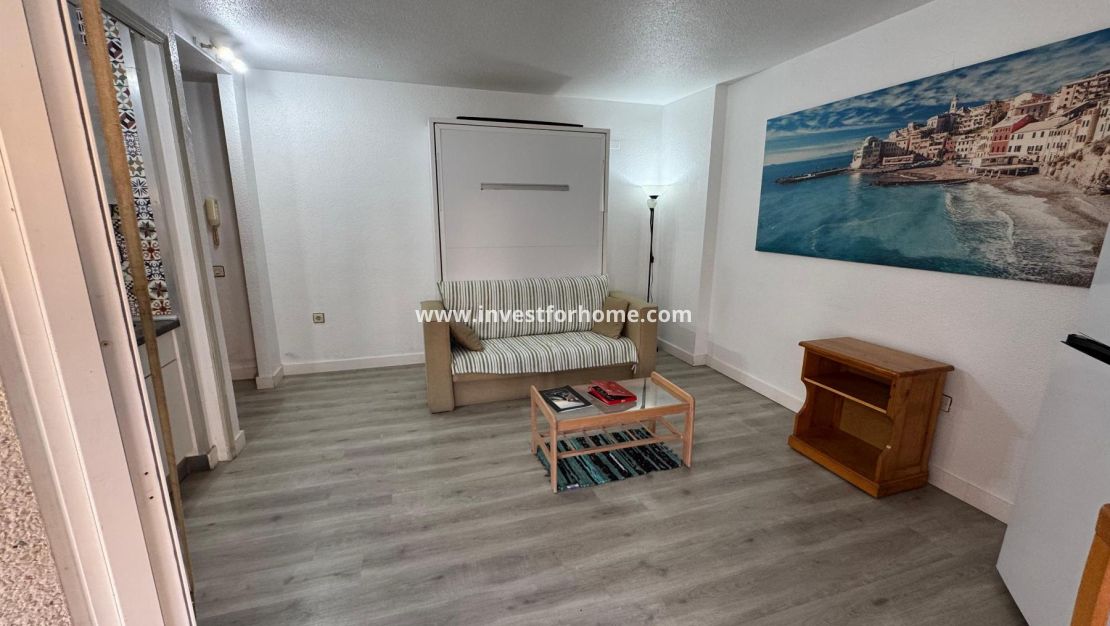 Reventa - Estudio - Torrevieja - Playa de Los Locos-Curva del Palangre