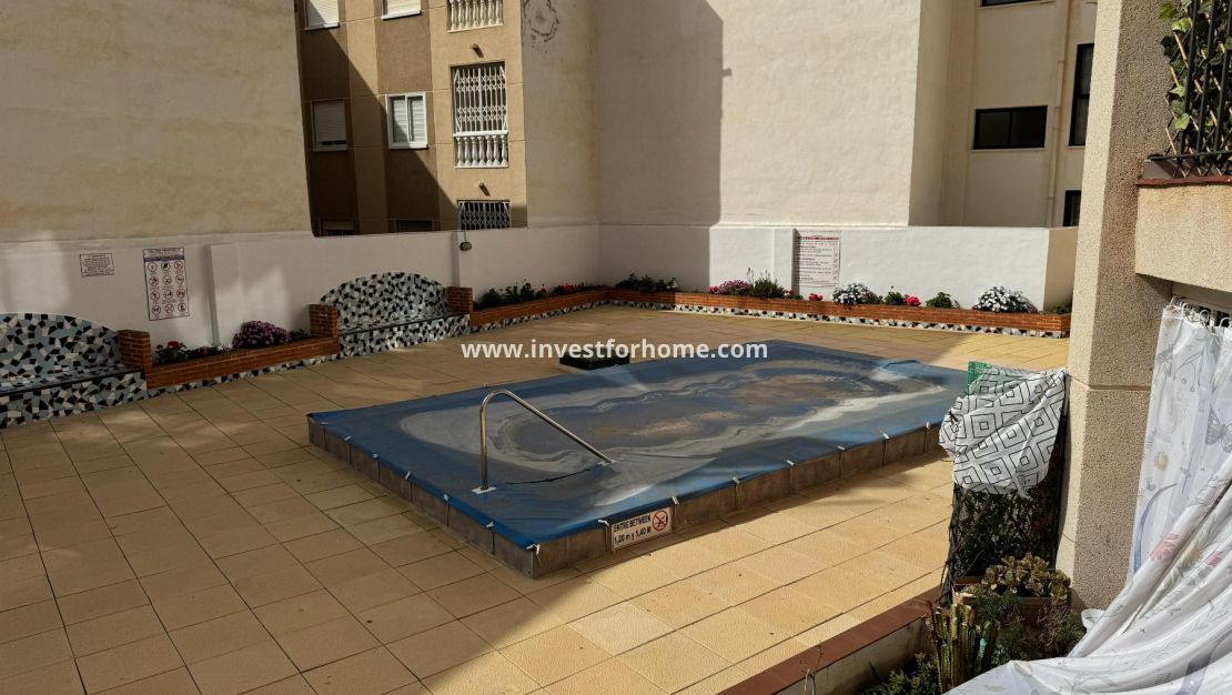 Reventa - Estudio - Torrevieja - Playa de Los Locos-Curva del Palangre