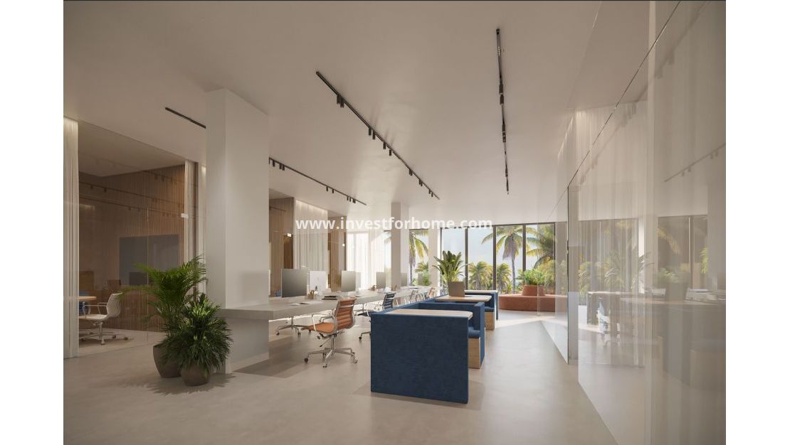 Reventa - Local comercial - Torrevieja - Torrelamata - La Mata