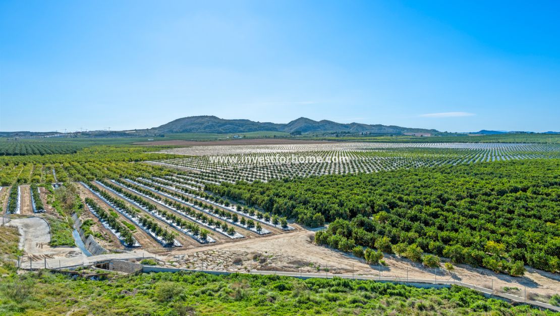 Sale - Apartment - Algorfa - Inland