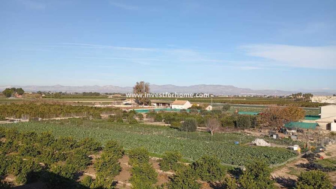 Sale - Apartment - Daya Nueva - Costa Blanca