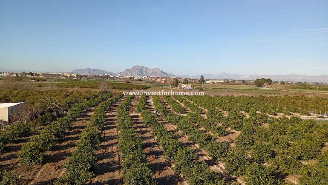 Sale - Apartment - Daya Nueva - Costa Blanca
