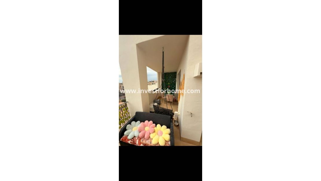 Sale - Apartment - El Palmar