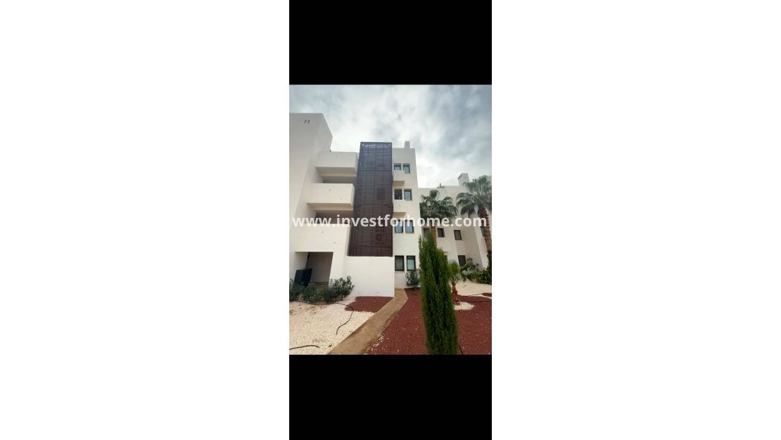 Sale - Apartment - El Palmar