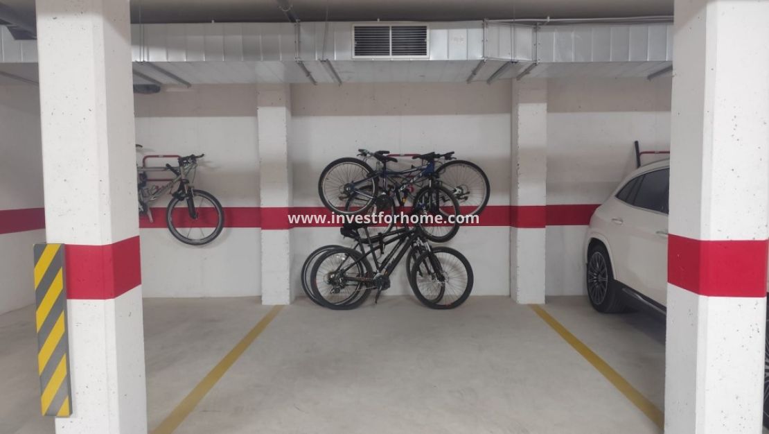 Sale - Apartment - El Raso