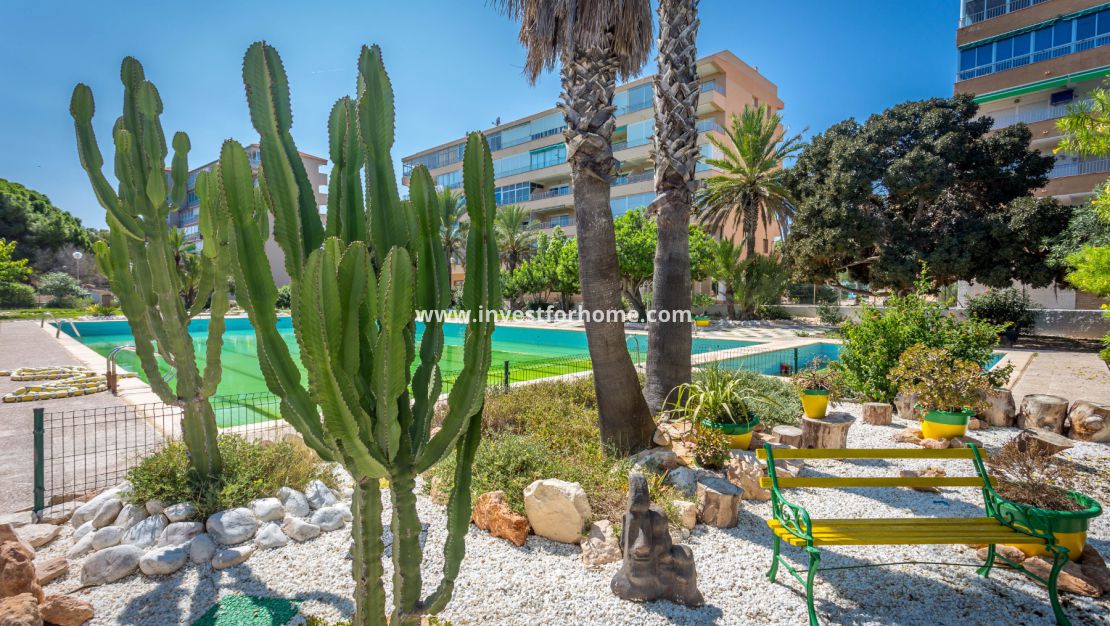 Sale - Apartment - Guardamar del Segura - Guardamar Playa