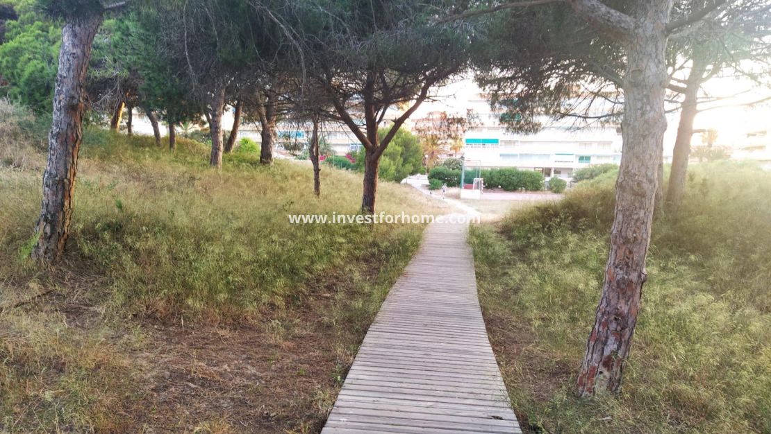 Sale - Apartment - Guardamar del Segura - Pinomar
