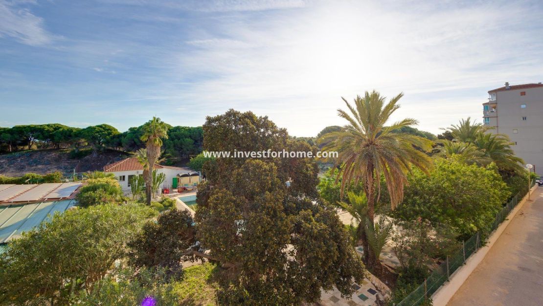 Sale - Apartment - Guardamar del Segura - Pinomar