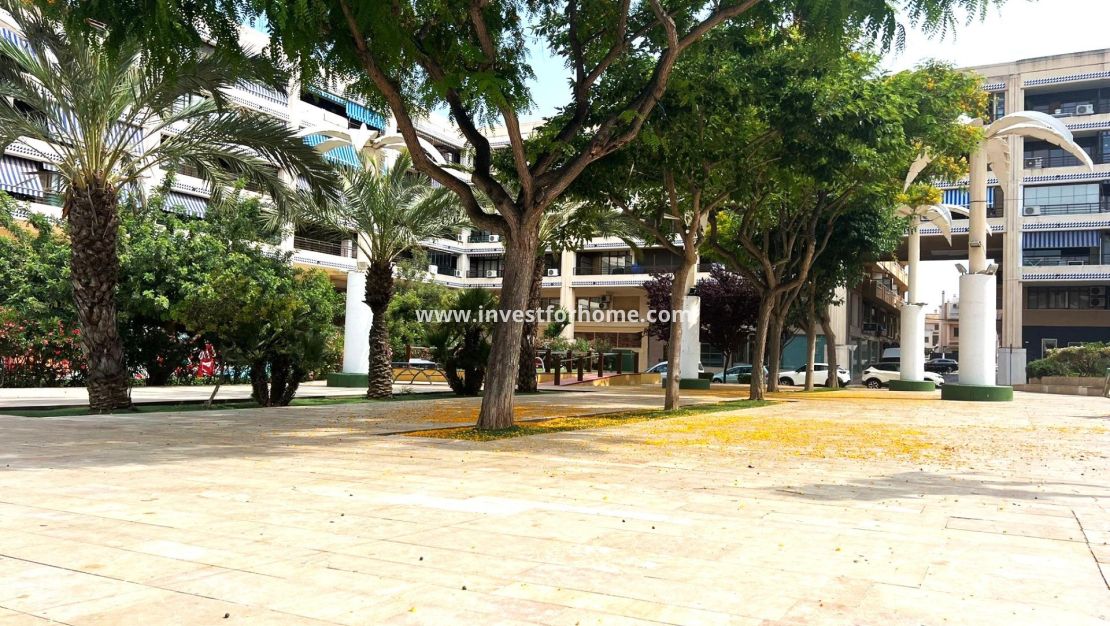 Sale - Apartment - Guardamar del Segura - Pueblo