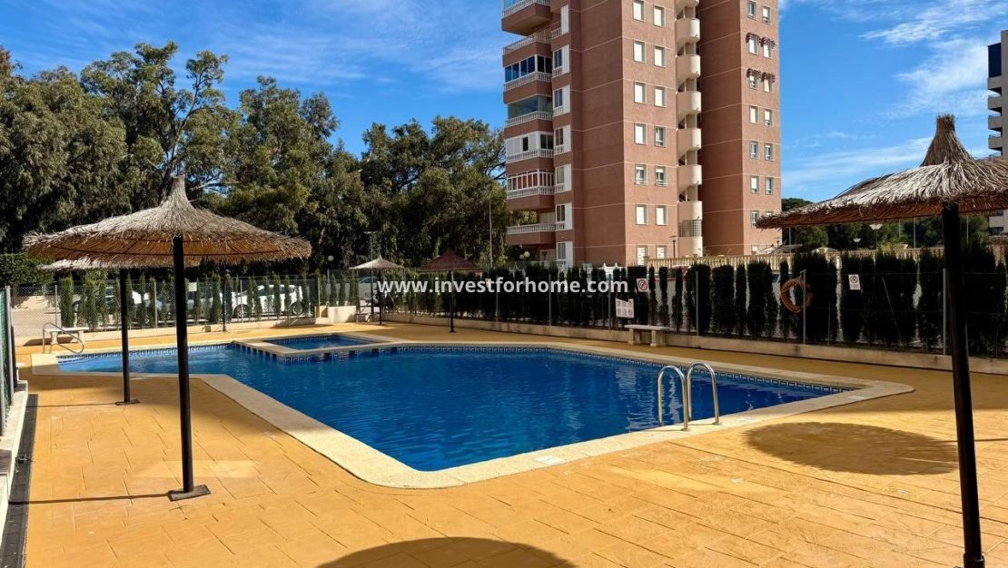 Sale - Apartment - Guardamar del Segura - Puerto