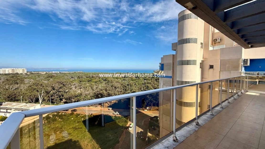 Sale - Apartment - Guardamar del Segura - Puerto