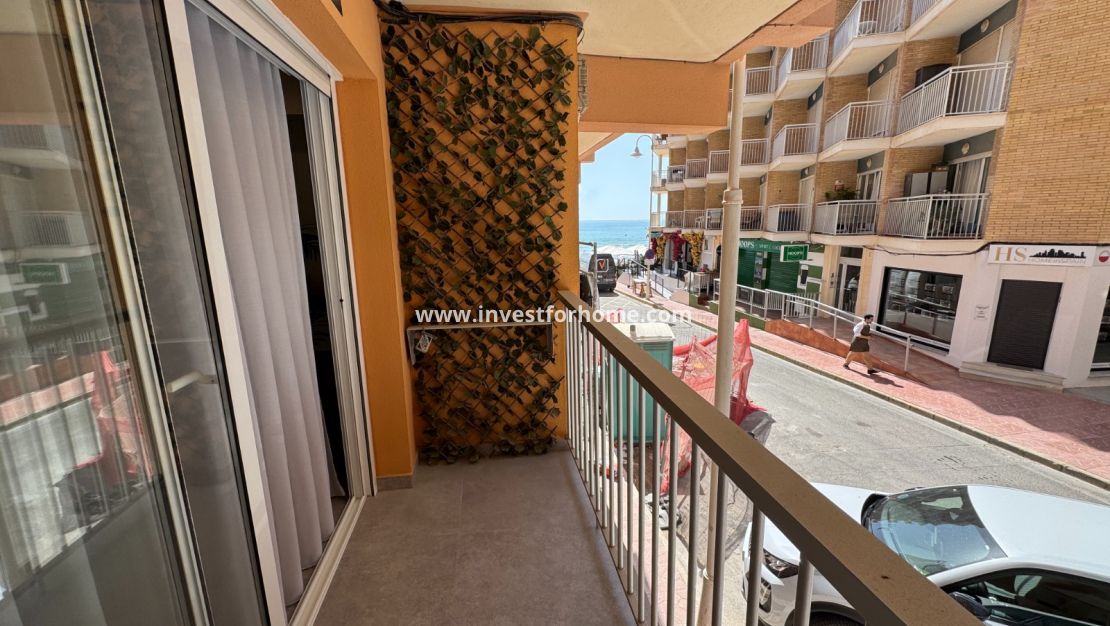Sale - Apartment - Guardamar del Segura