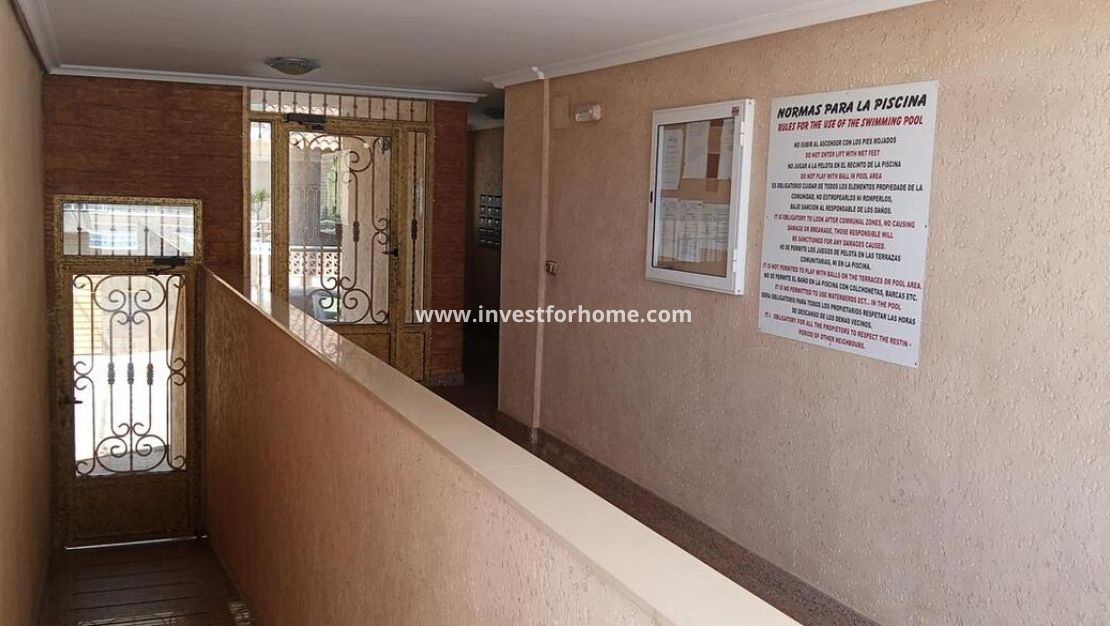 Sale - Apartment - Los Montesinos - PUEBLO CENTRO