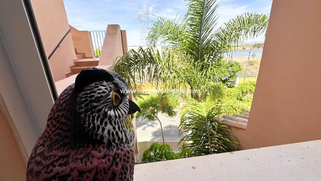 Sale - Apartment - Mar Menor Golf Resort - Inland