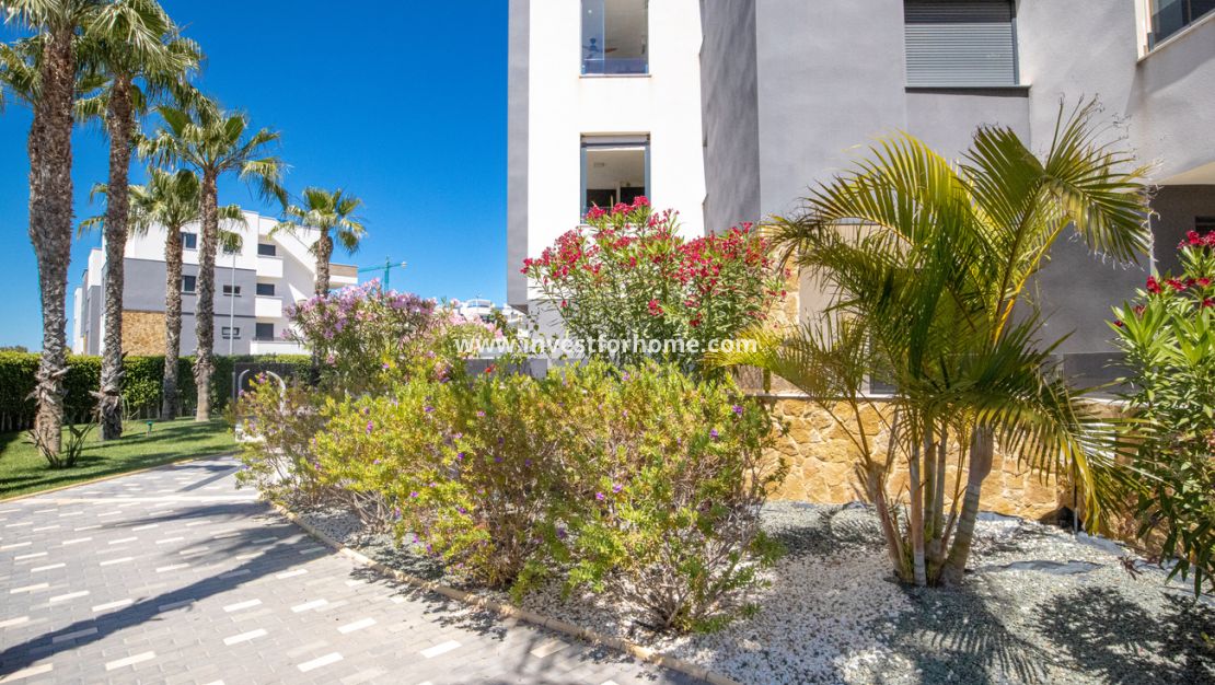 Sale - Apartment - Orihuela Costa - AMANECER
