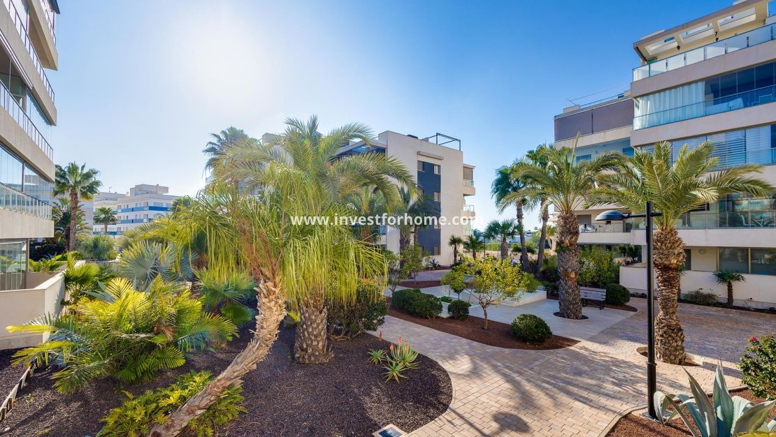 Sale - Apartment - Orihuela Costa - Costa Blanca