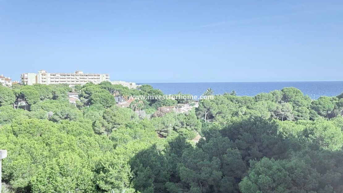 Sale - Apartment - Orihuela Costa - Dehesa De Campoamor