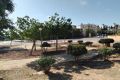 Sale - Apartment - Orihuela Costa - LOMAS CABO ROIG