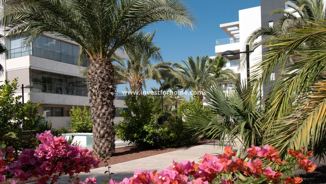 Sale - Apartment - Orihuela Costa - Los Dolses