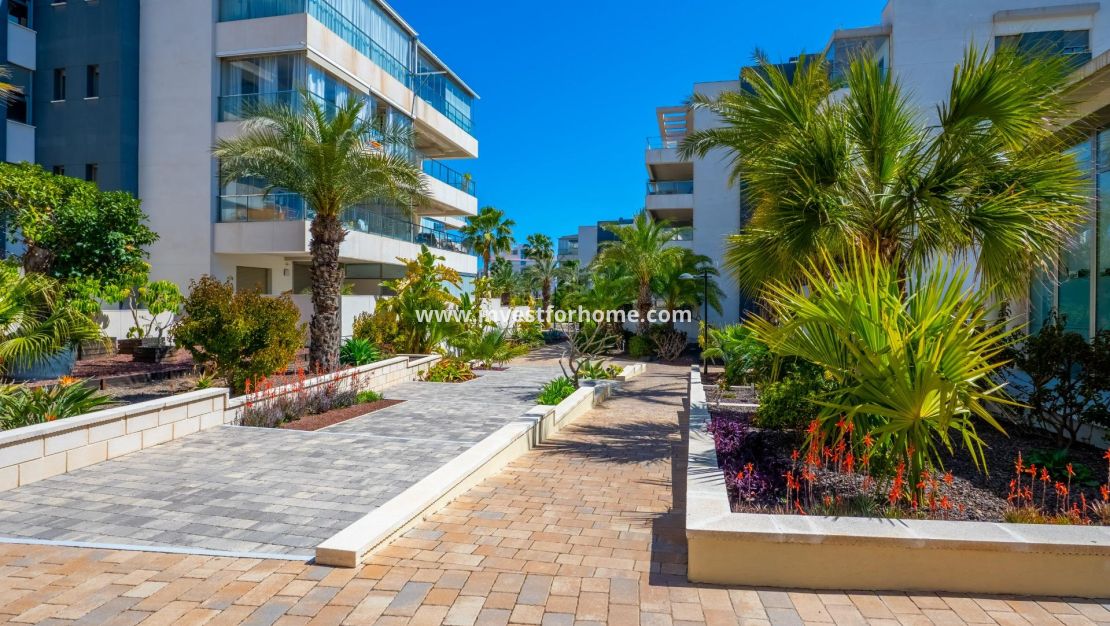 Sale - Apartment - Orihuela Costa - Los Dolses