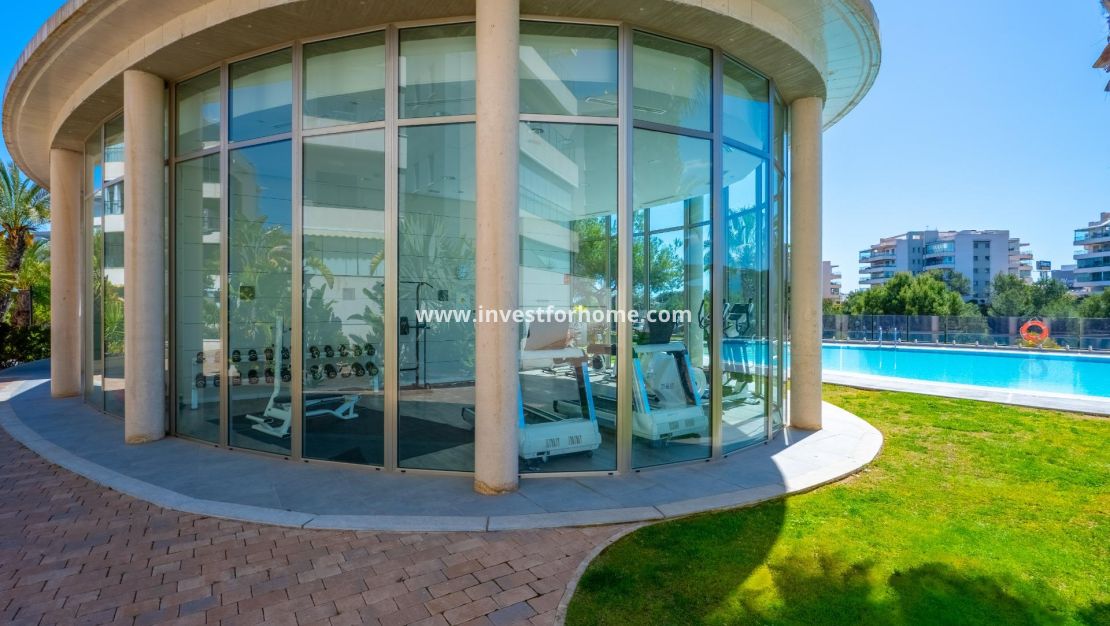 Sale - Apartment - Orihuela Costa - Los Dolses