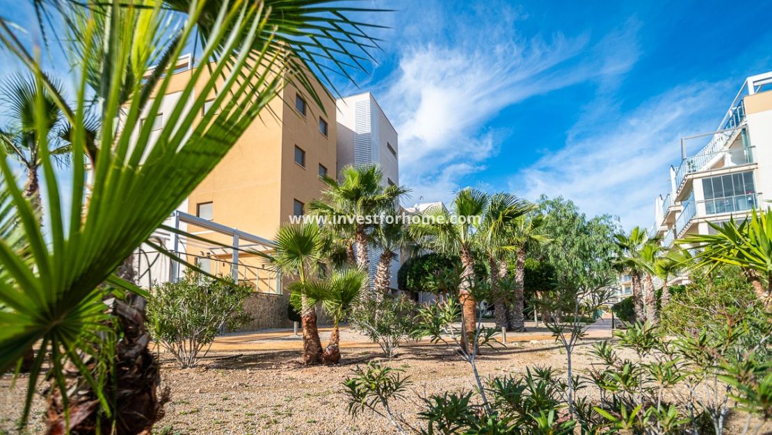 Sale - Apartment - Orihuela Costa - Los Dolses
