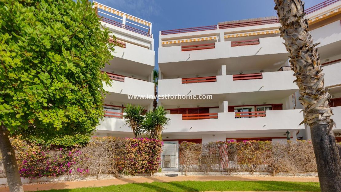 Sale - Apartment - Orihuela Costa - Playa Flamenca