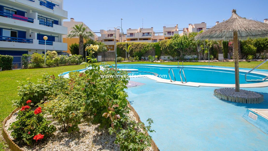 Sale - Apartment - Orihuela Costa