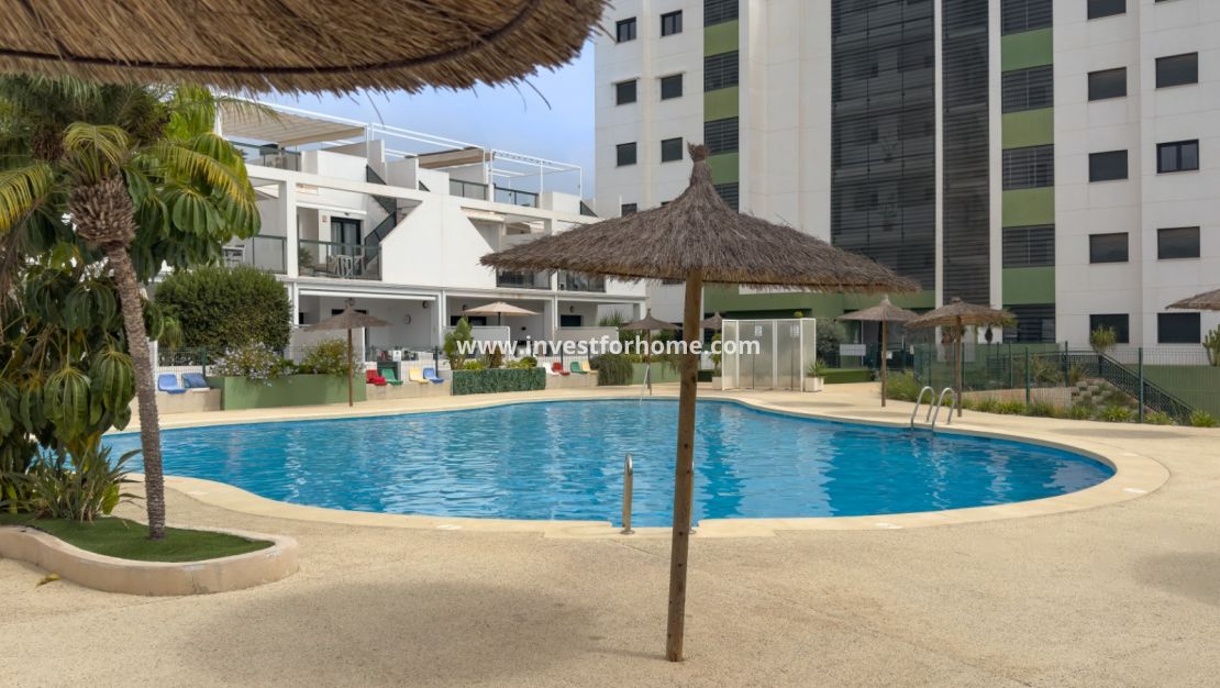 Sale - Apartment - Pilar de la Horadada - Mil Palmeras