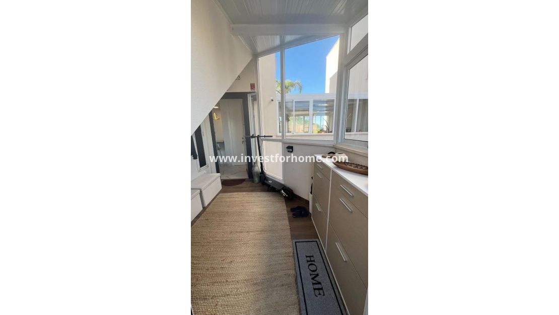 Sale - Apartment - San Miguel de Salinas - Bellavista