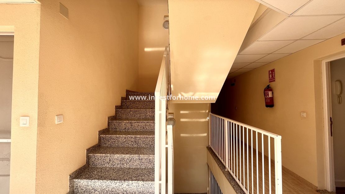 Sale - Apartment - San Miguel de Salinas - Inland